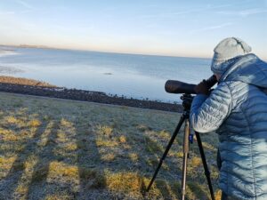 Vogels kijken - foto: Edouard Geelhand