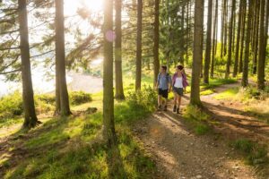 Eindeloze bossen - foto: Dominik Ketz