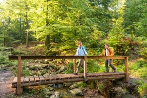 Wandelbrugjes op de Hoge Venen - foto: Dominik Ketz