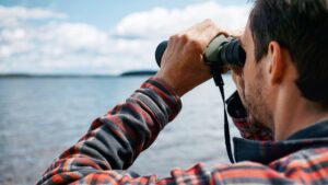 Vogels gluren - foto: Adobe Stock