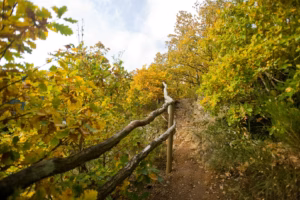 Herfstwandeling - foto: Dominik Ketz