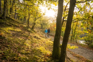 Herfstig wandelen - foto: Dominik Ketz
