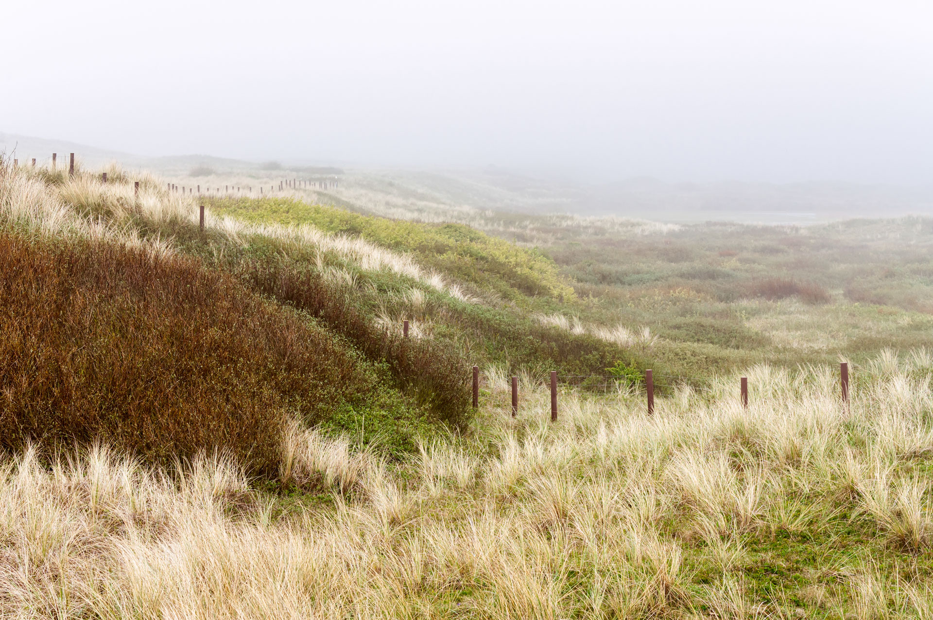 Eierlandse Duinen – foto: Hans Debruyne