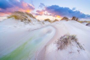 Horsduinen – foto: Nico van Kappel