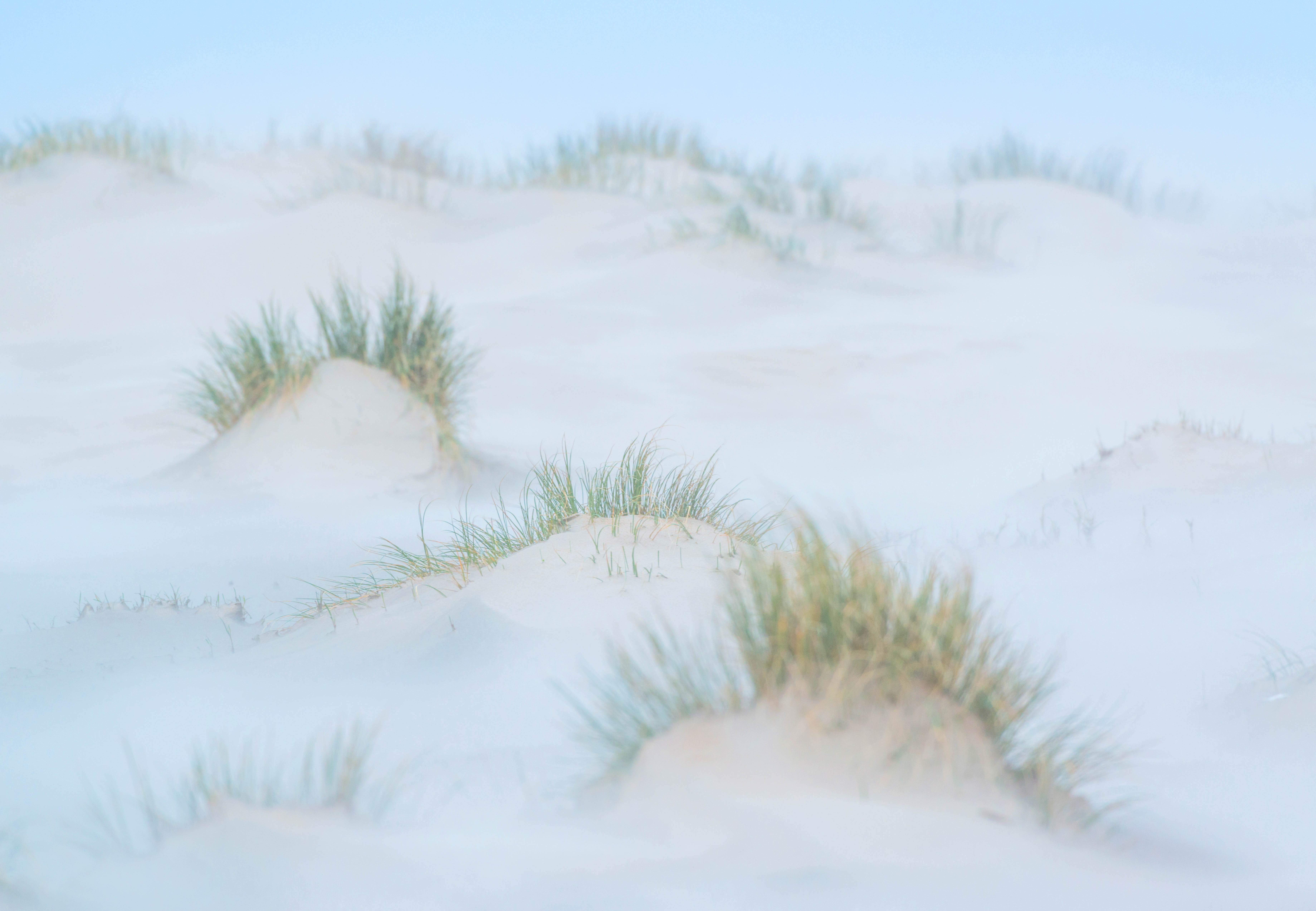 Horsduinen – foto: Nico van Kappel