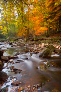 Herfst aan de rivier - foto: Sam Mannaerts