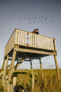 Vogels spotten - foto: Westtoer