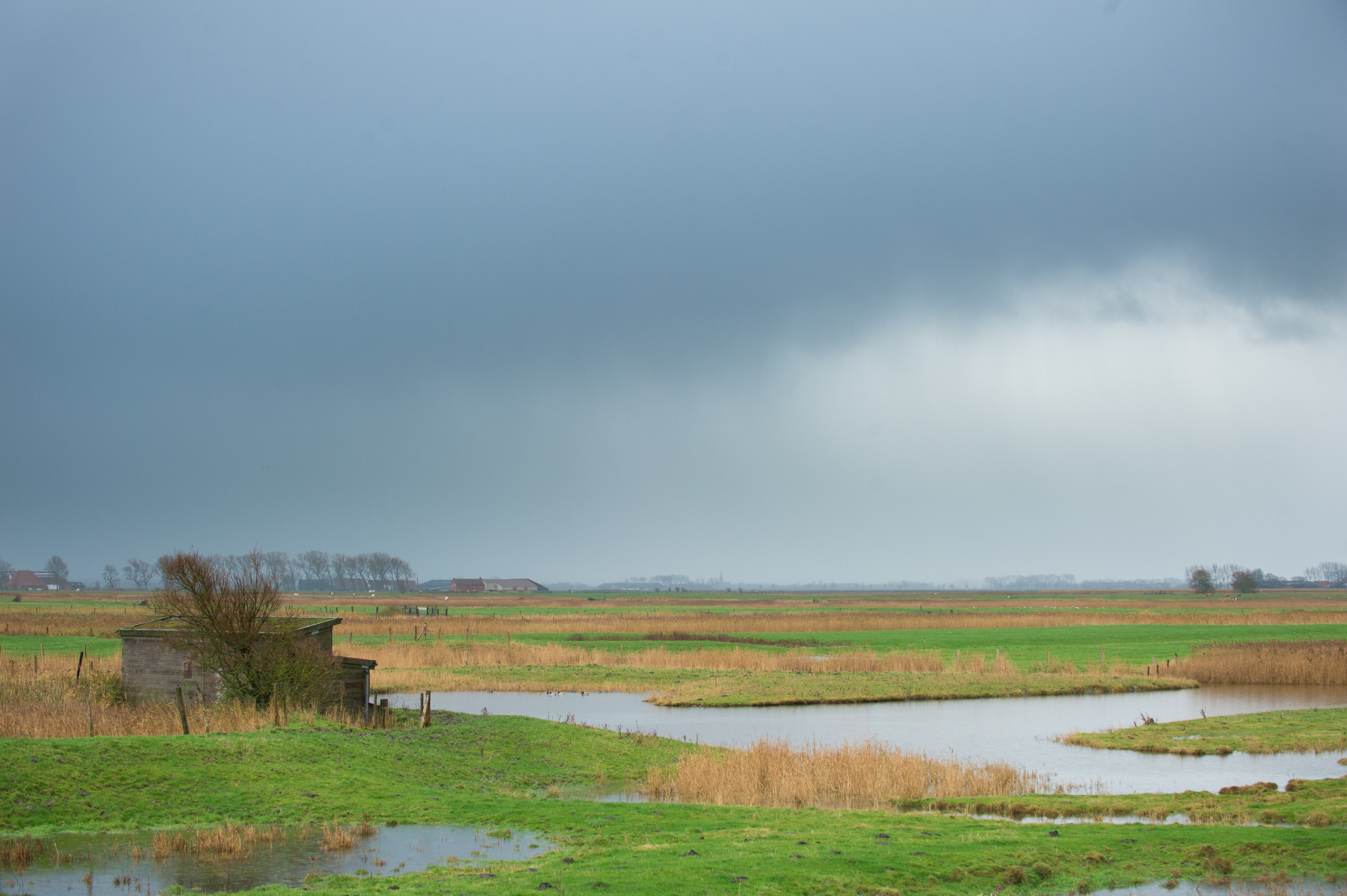 Polderlandschap - foto: Wim Dirckx